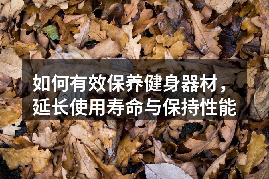 如何有效保养健身器材，延长使用寿命与保持性能