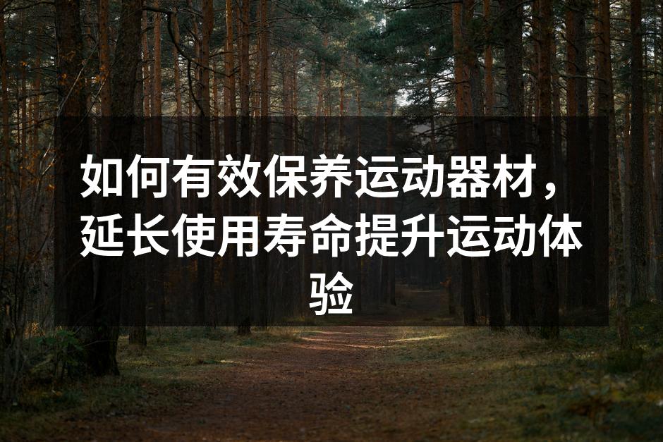 如何有效保养运动器材，延长使用寿命提升运动体验