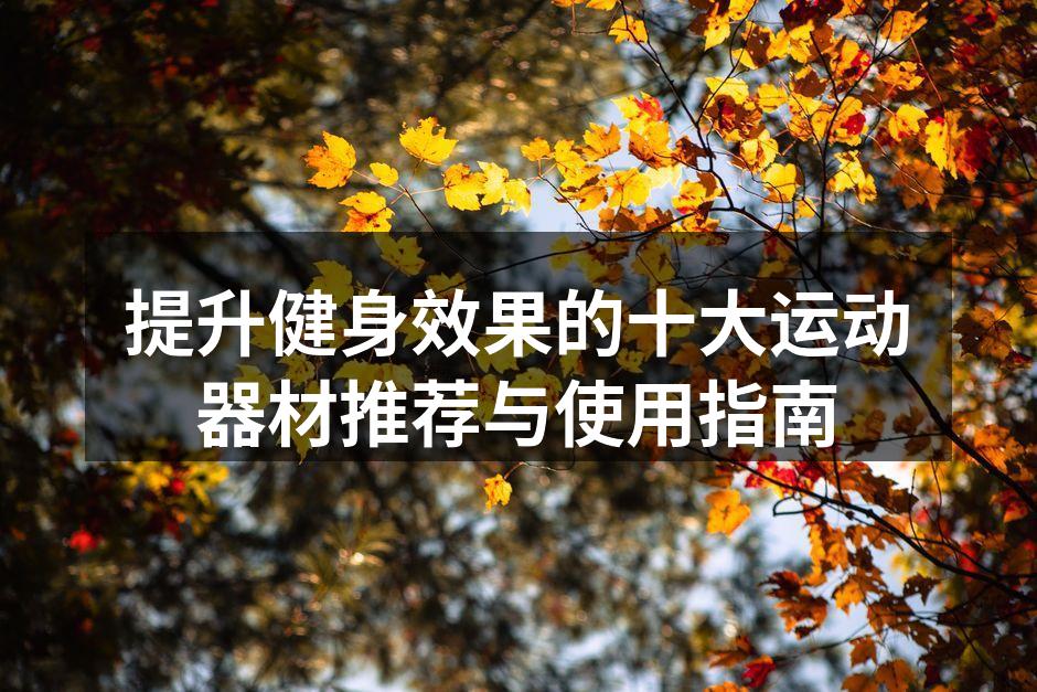 提升健身效果的十大运动器材推荐与使用指南