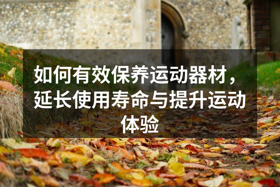 如何有效保养运动器材，延长使用寿命与提升运动体验