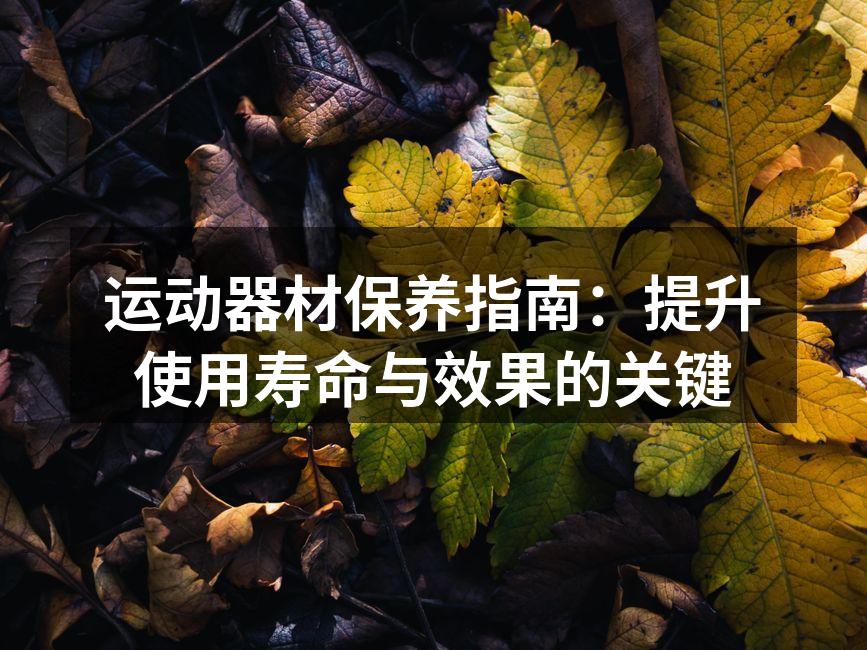 运动器材保养指南：提升使用寿命与效果的关键